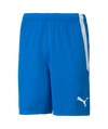 P Team Liga Shorts