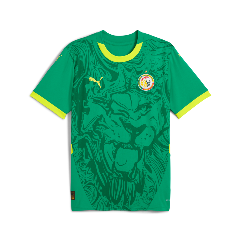 Puma Men's Senegal Away Jersey Replica 25 Green