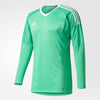 adidas Revigo 17 Goalkeeper Jersey