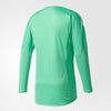 adidas Revigo 17 Goalkeeper Jersey