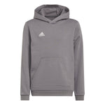 adidas Entrada 22 Sweat Hoody