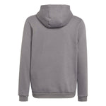 adidas Entrada 22 Sweat Hoody