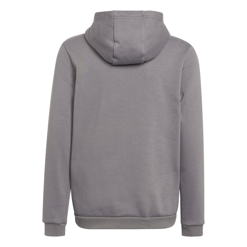 adidas Entrada 22 Sweat Hoody