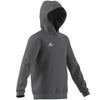 adidas Entrada 22 Sweat Hoody