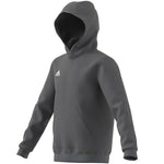 adidas Entrada 22 Sweat Hoody