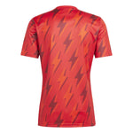 adidas Arsenal Pre Match Jersey